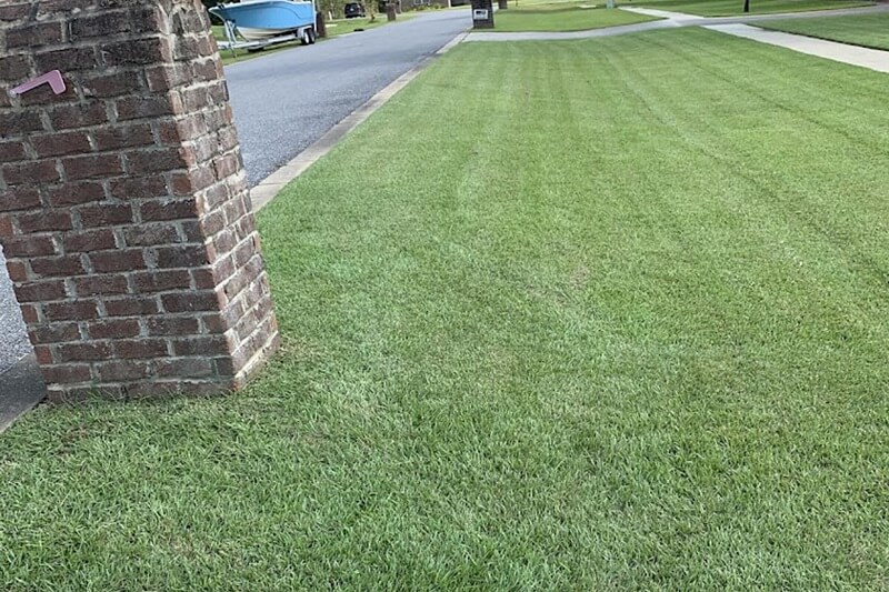 Lawn Care Lawn Care