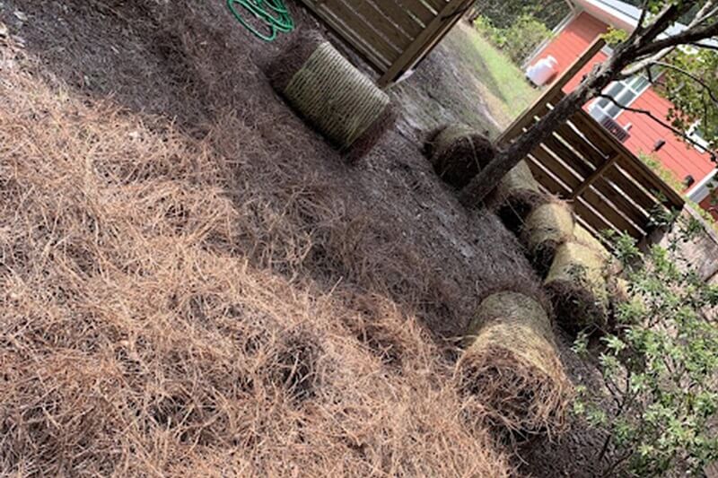 Pine Straw Mulching Pine Straw Mulching