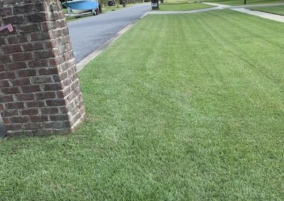 Mulching Services