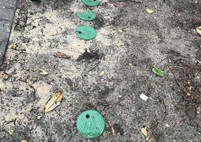 Professional Commercial Landscaping Contractor