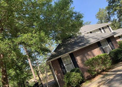 Professional Landscaping Service