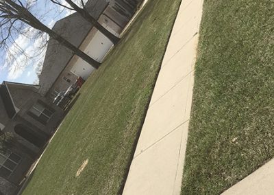 Professional Residential Landscaping Company